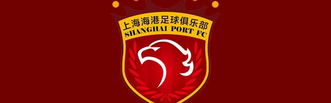 体育赛事视频直播-记者谈海港伤病：医务组两得力干将离队，球队正重建医疗系统